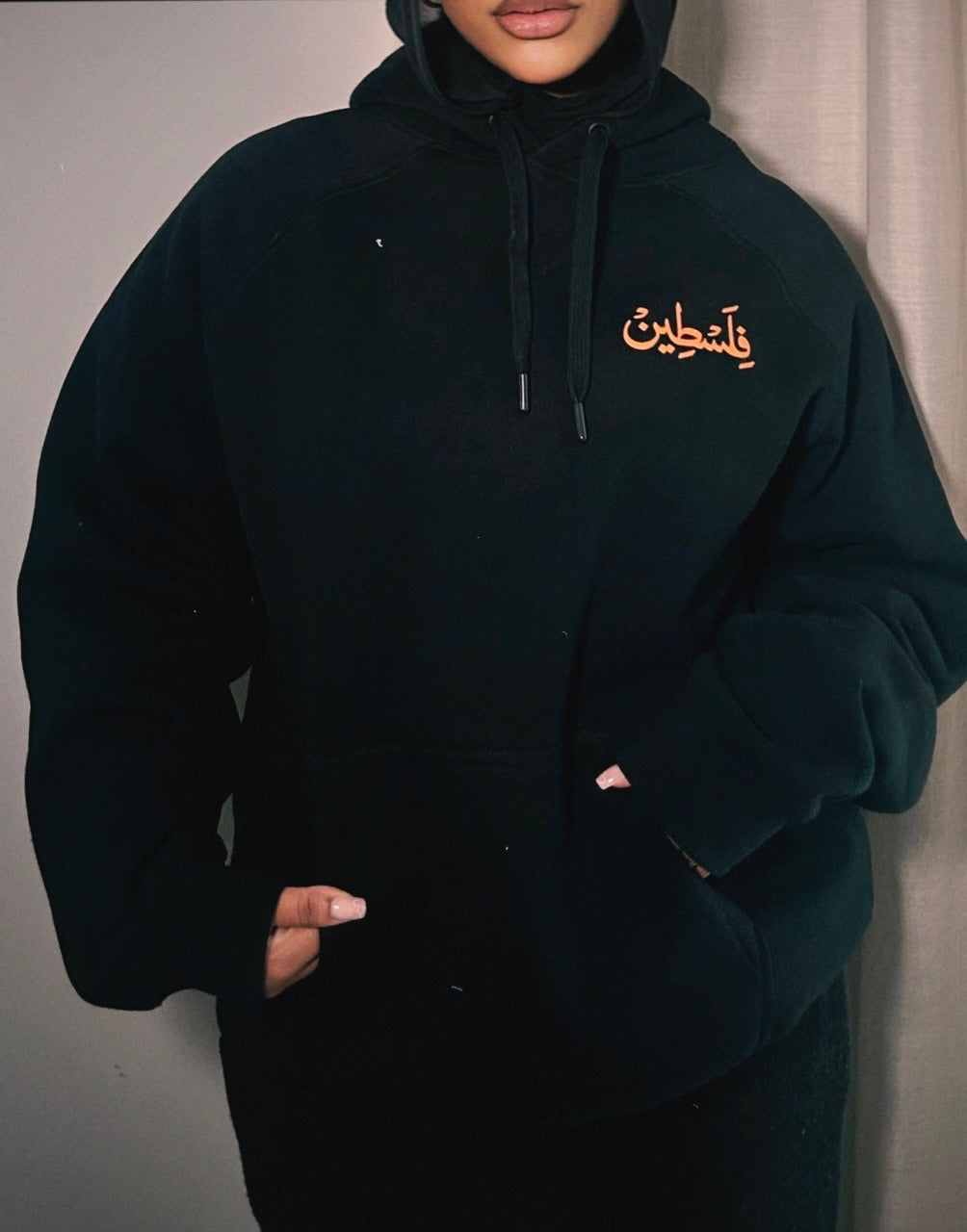 The Life of Palestine - Adult Hoodie