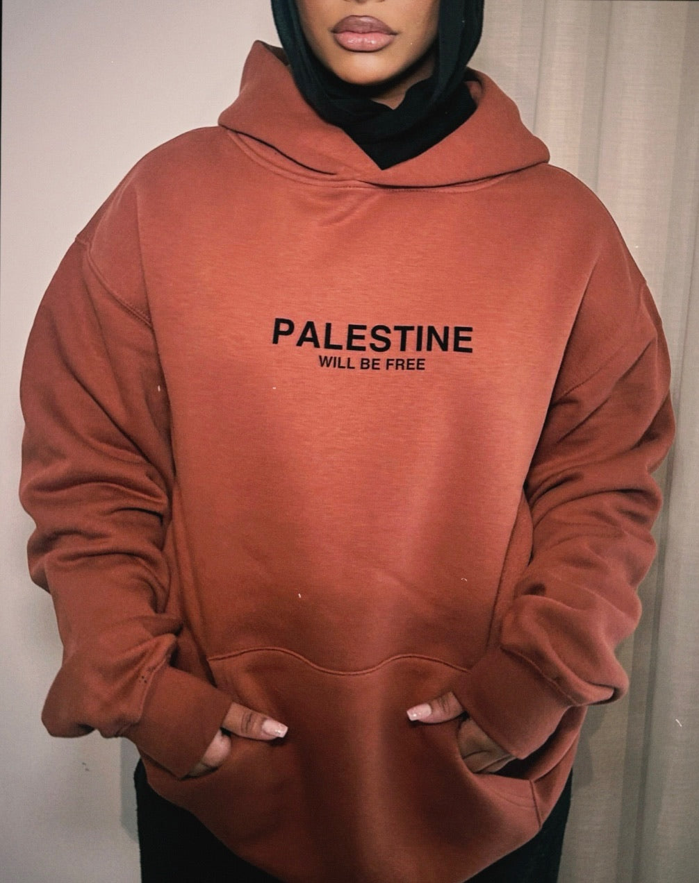 Palestine Will Be Free Adult Hoodie - CLAY