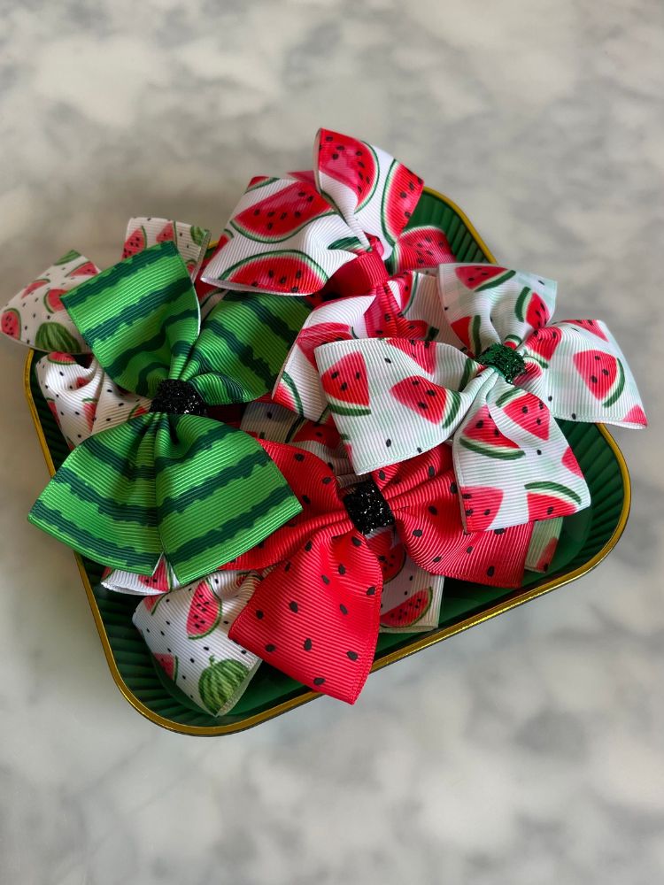 Watermelon Hairclips