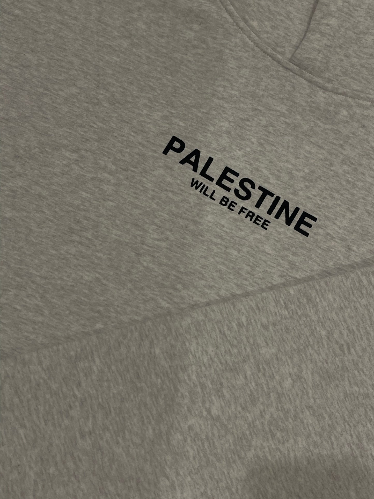 Palestine Will Be Free Adult Hoodie - WHITE MARBLE