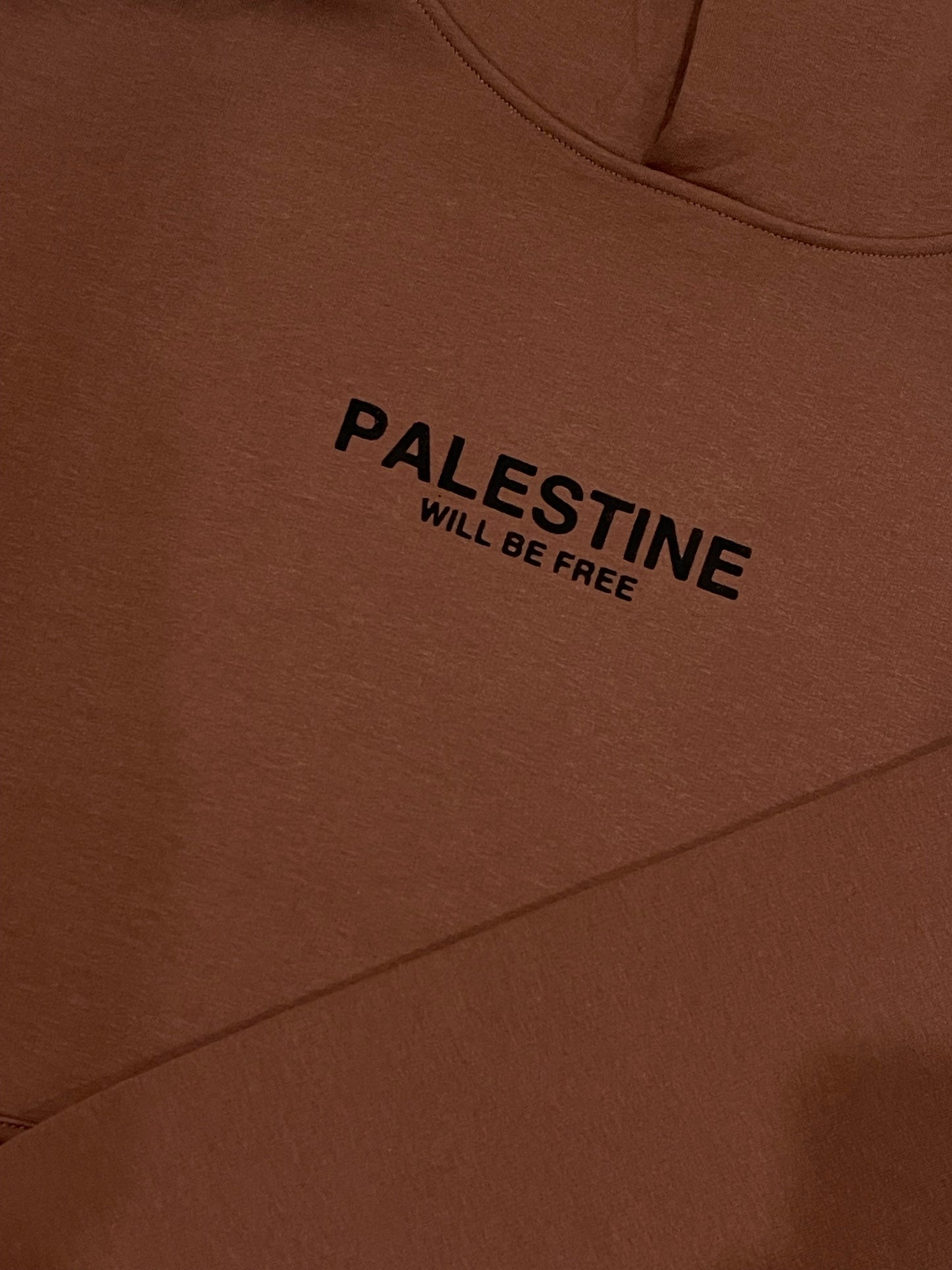 Palestine Will Be Free Adult Hoodie - CHESTNUT